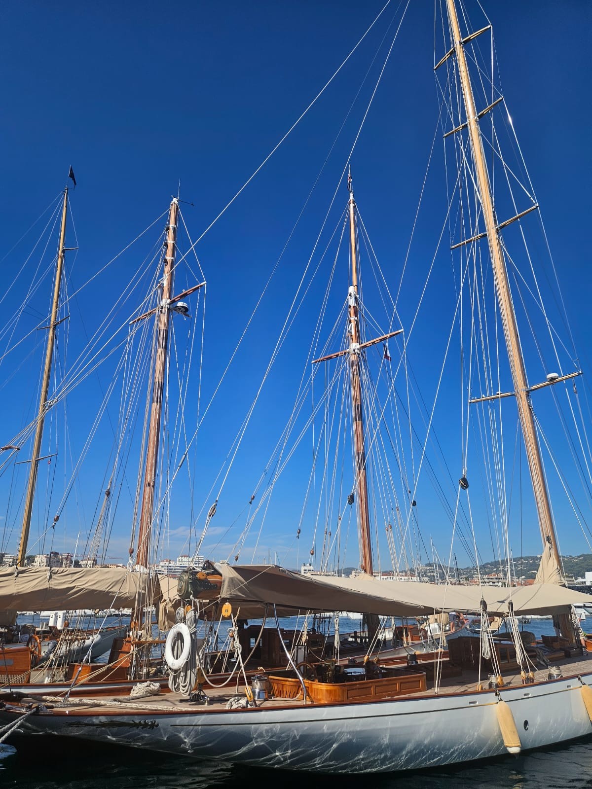 Régates Royales 2025